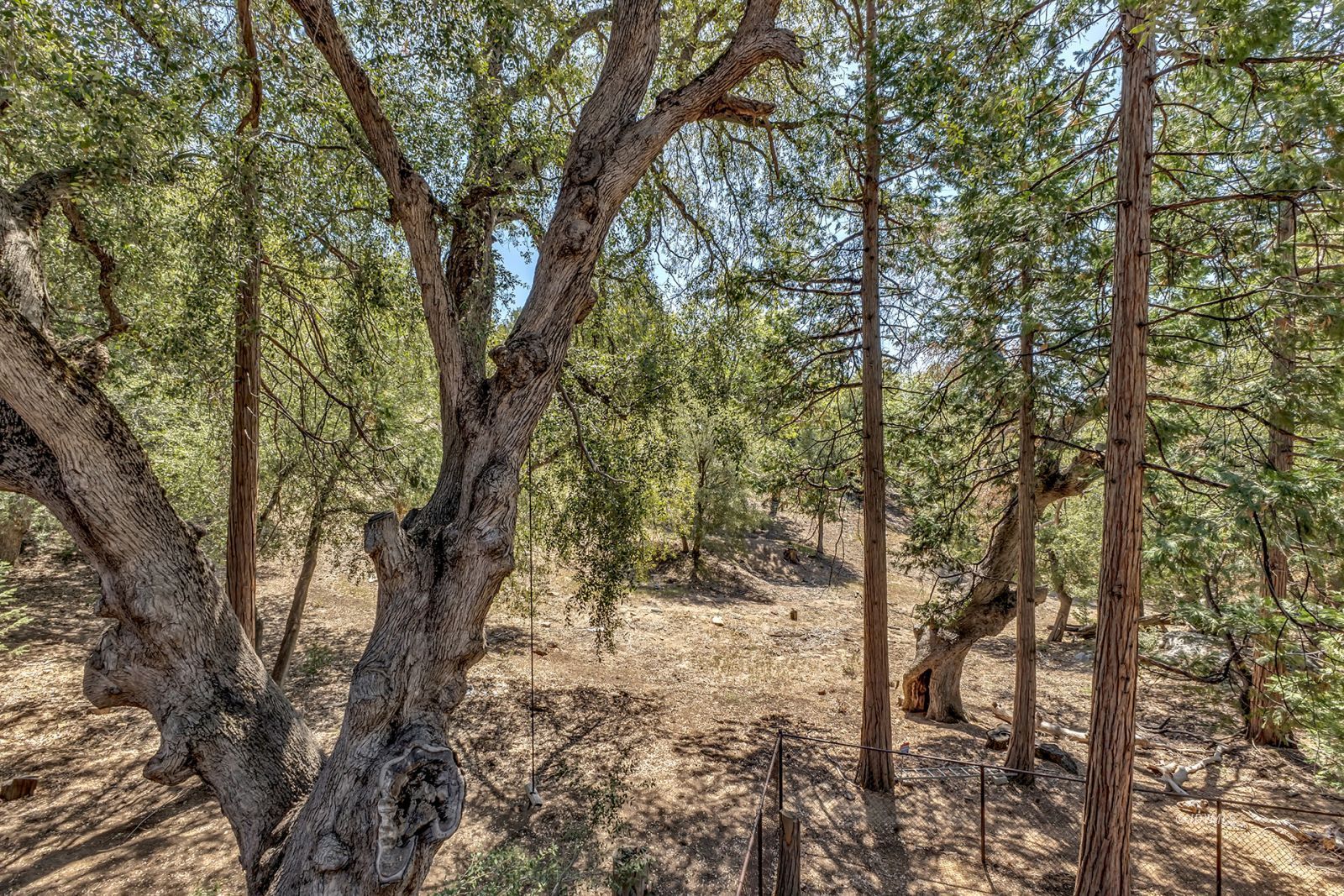 Property Photo 53