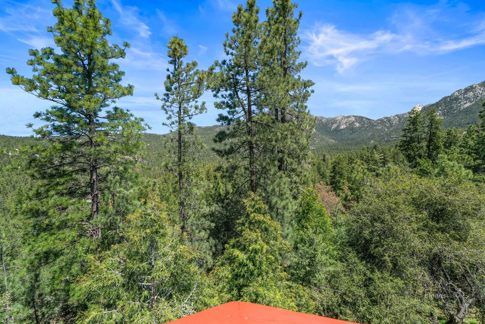 Property Photo 65
