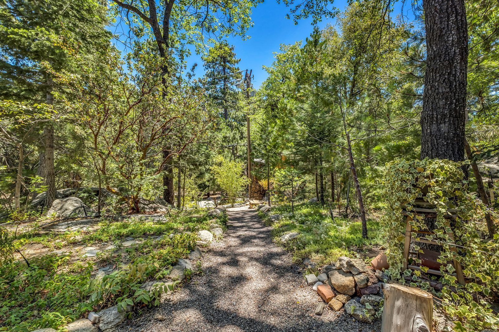 Property Photo 56