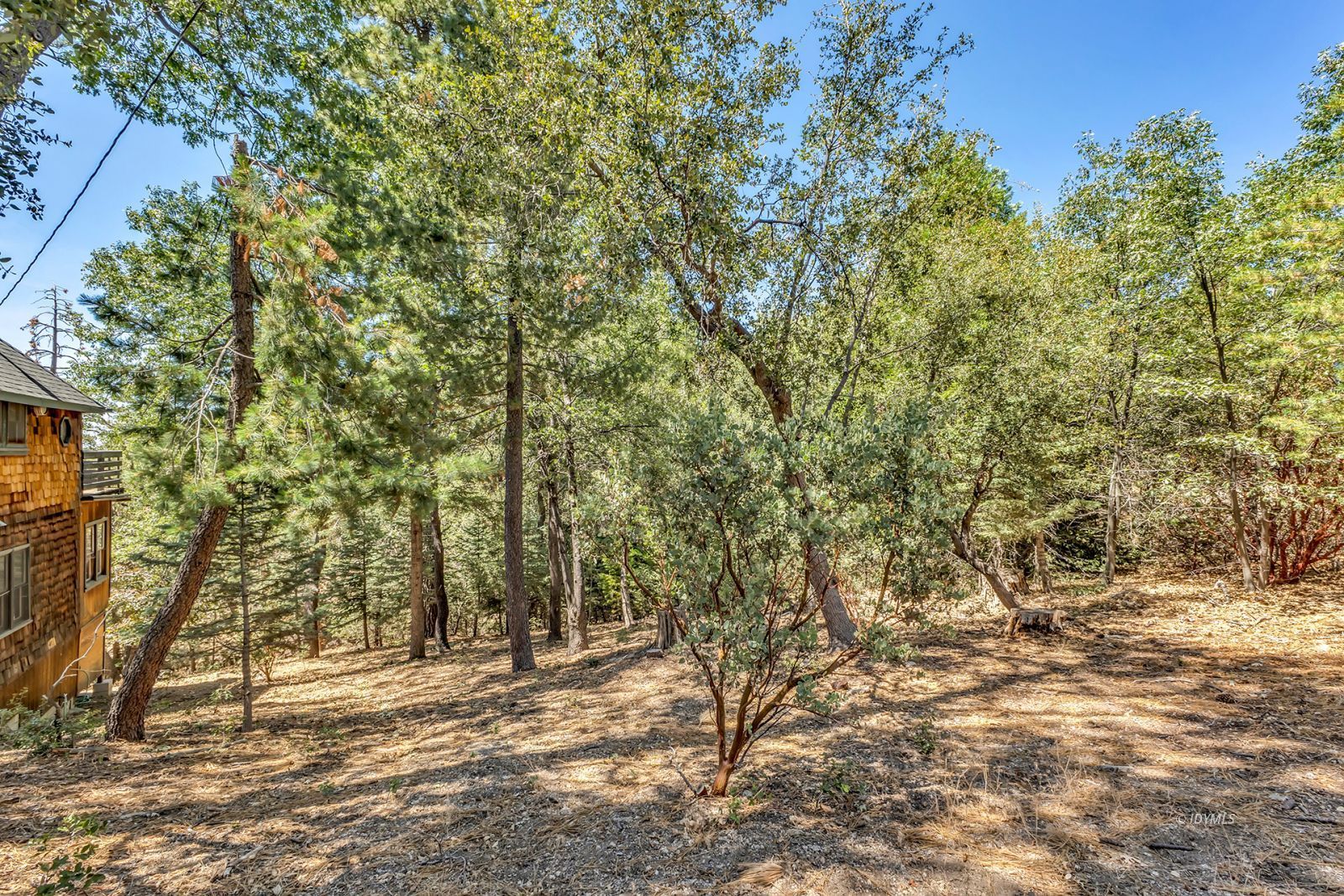 Property Photo 29