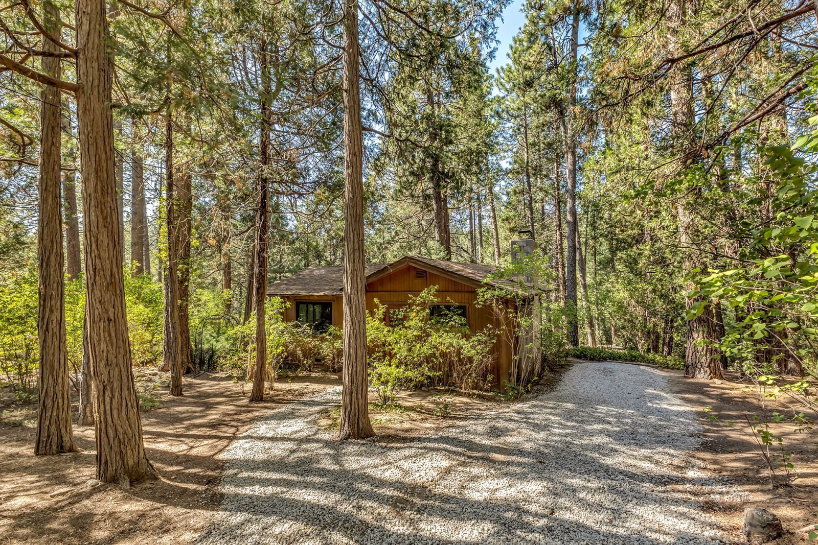 Property Photo 49