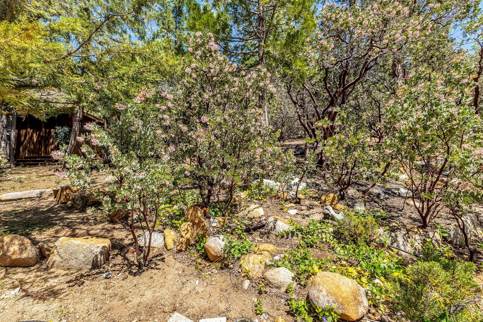 Property Photo 64