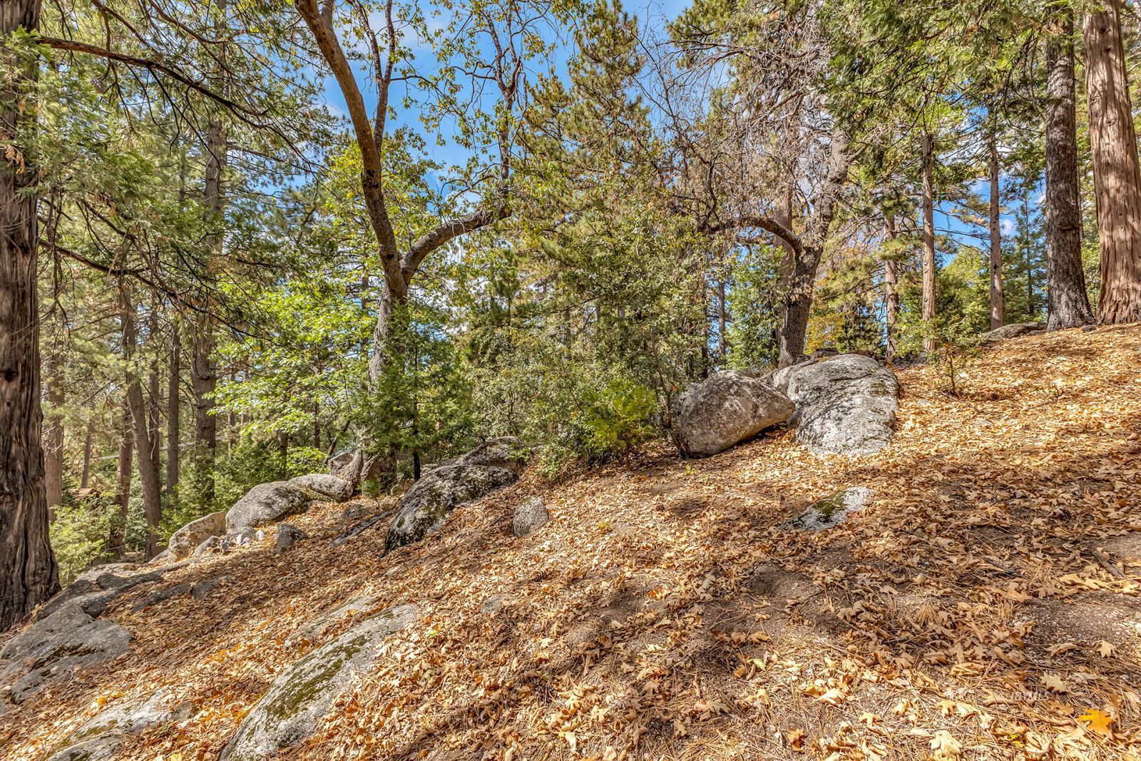 Property Photo 53