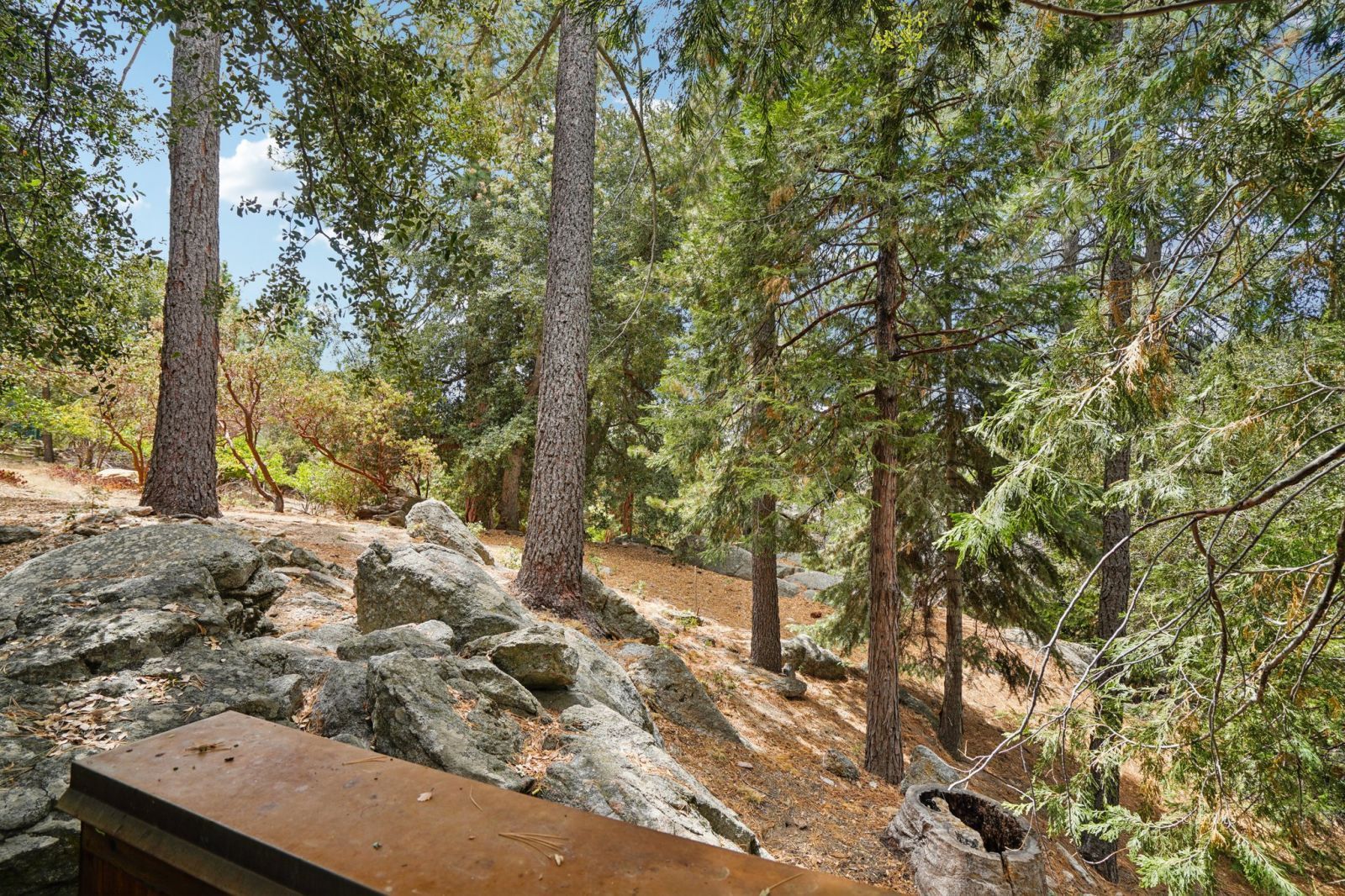 Property Photo 41