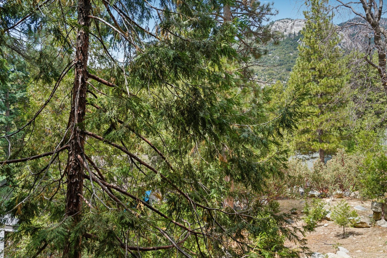 Property Photo 44