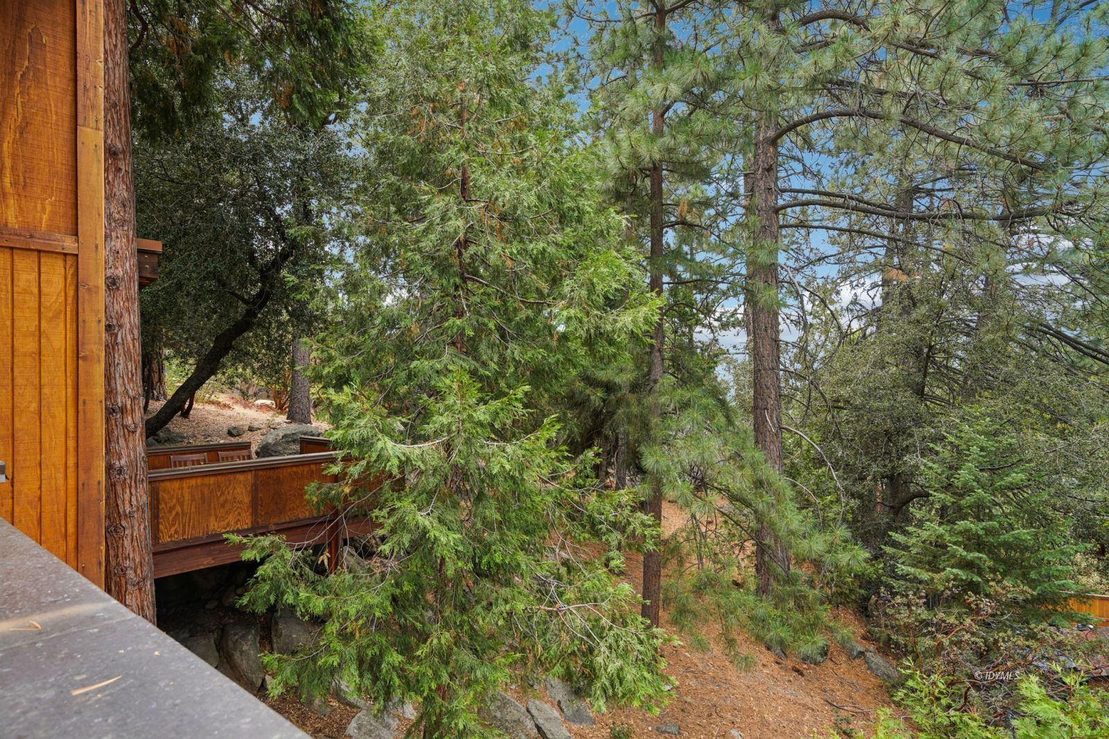 Property Photo 46