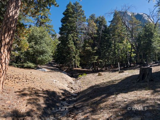feature listing property photo