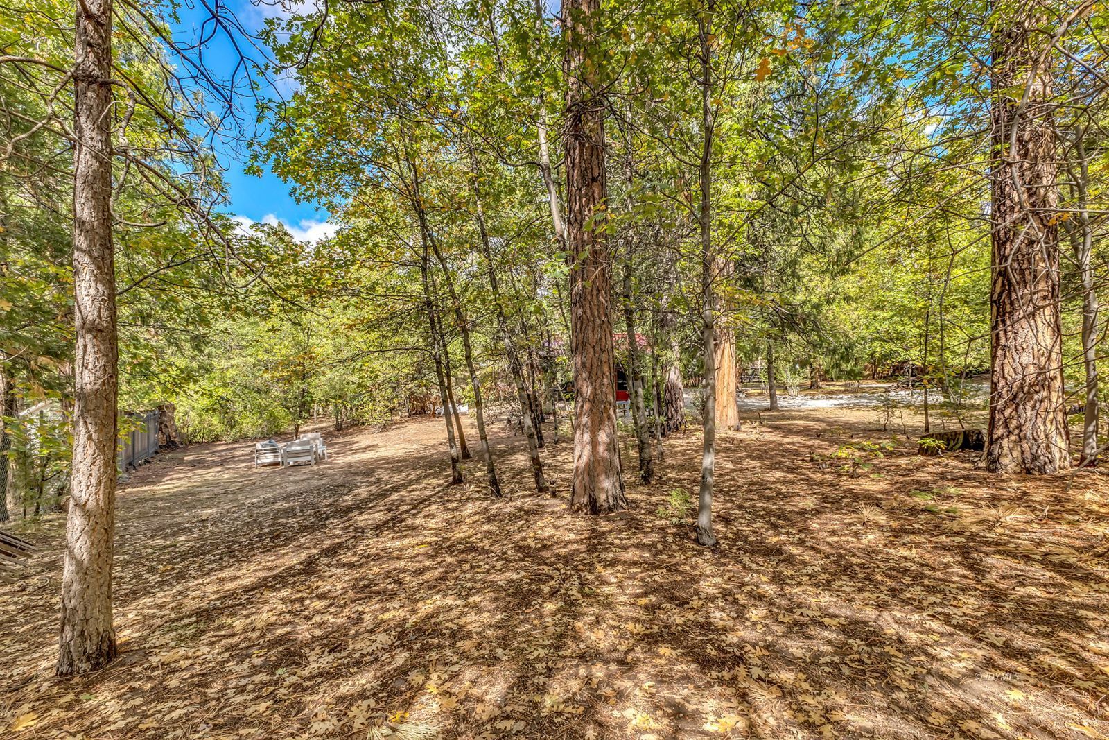 Property Photo 43