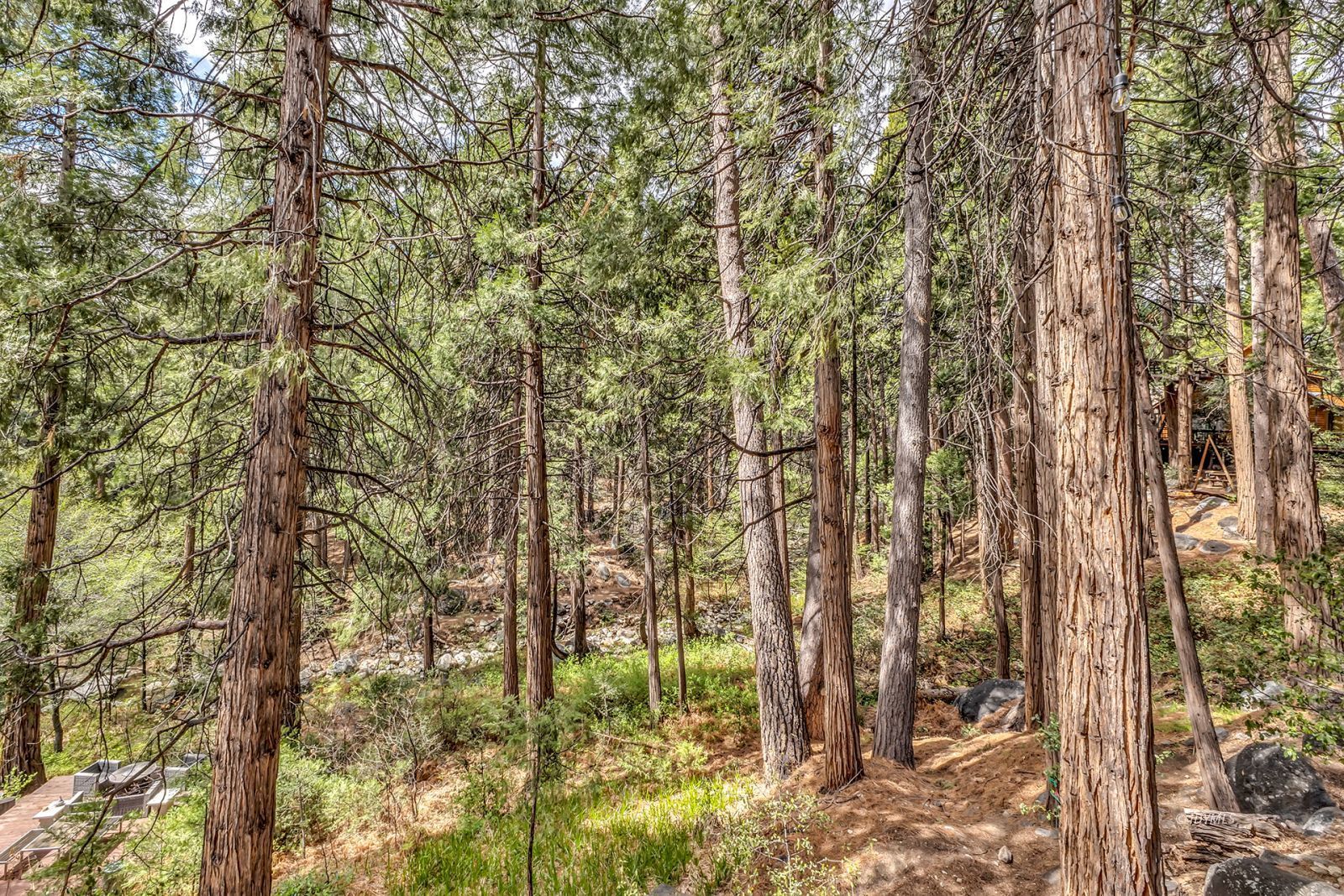 Property Photo 57