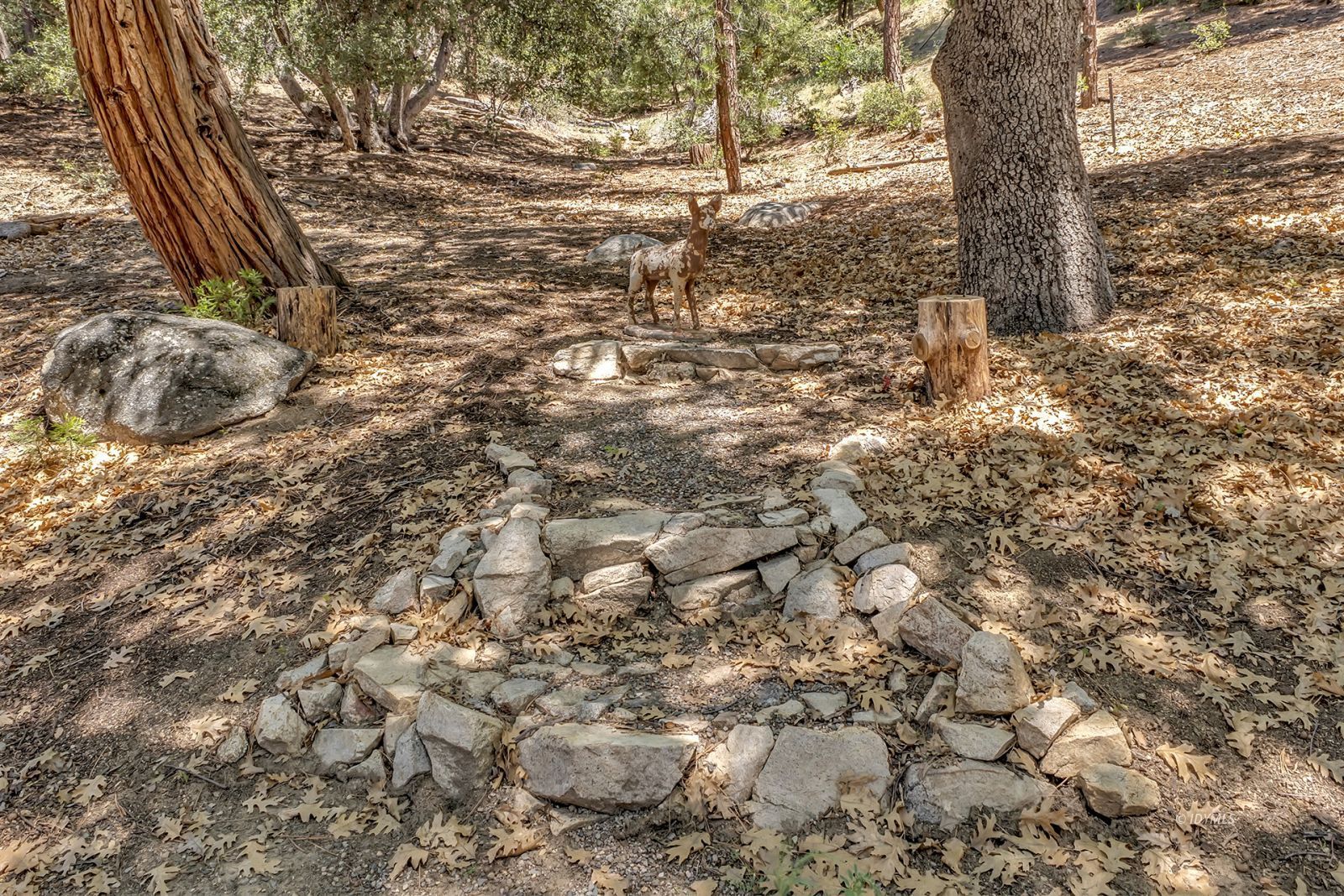 Property Photo 68