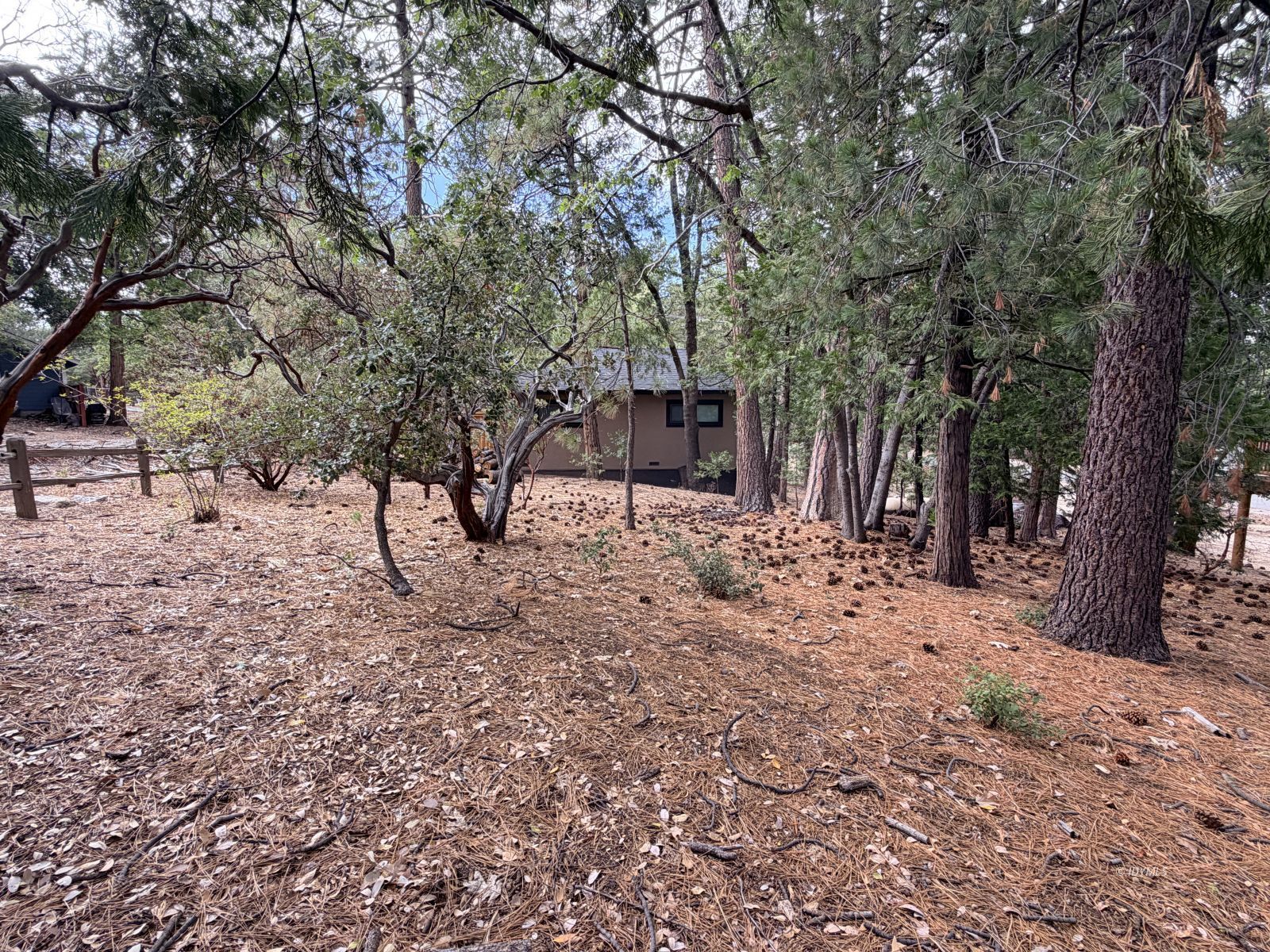 Property Photo 33