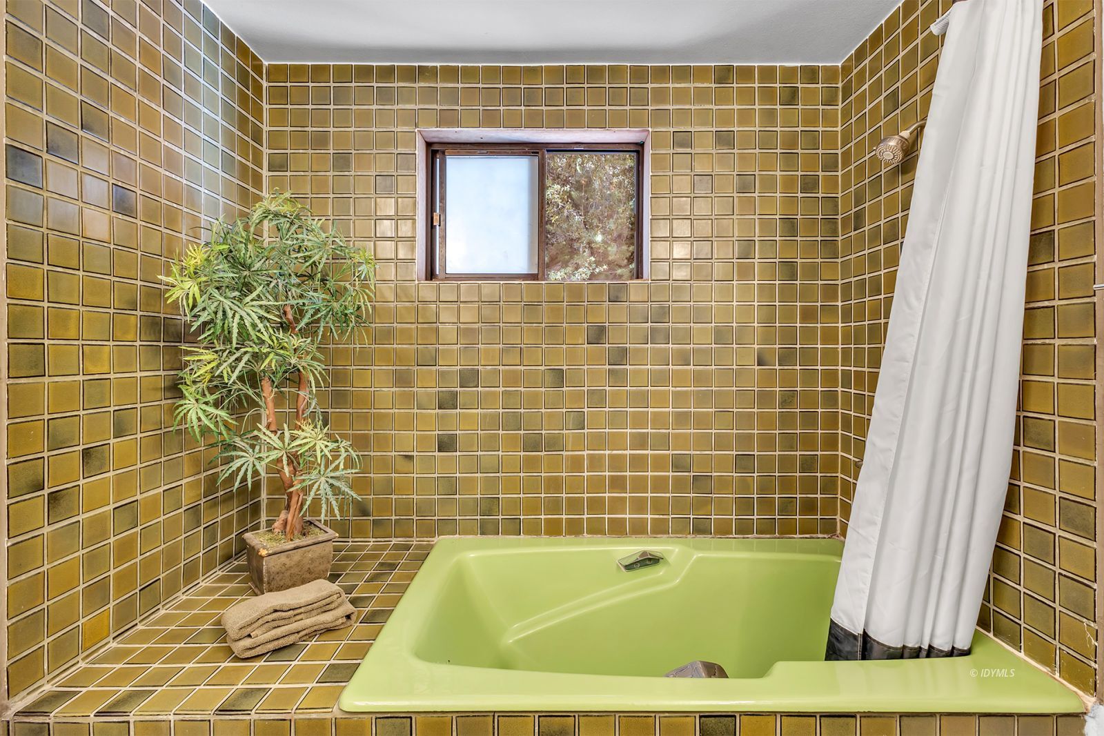 Property Photo 55