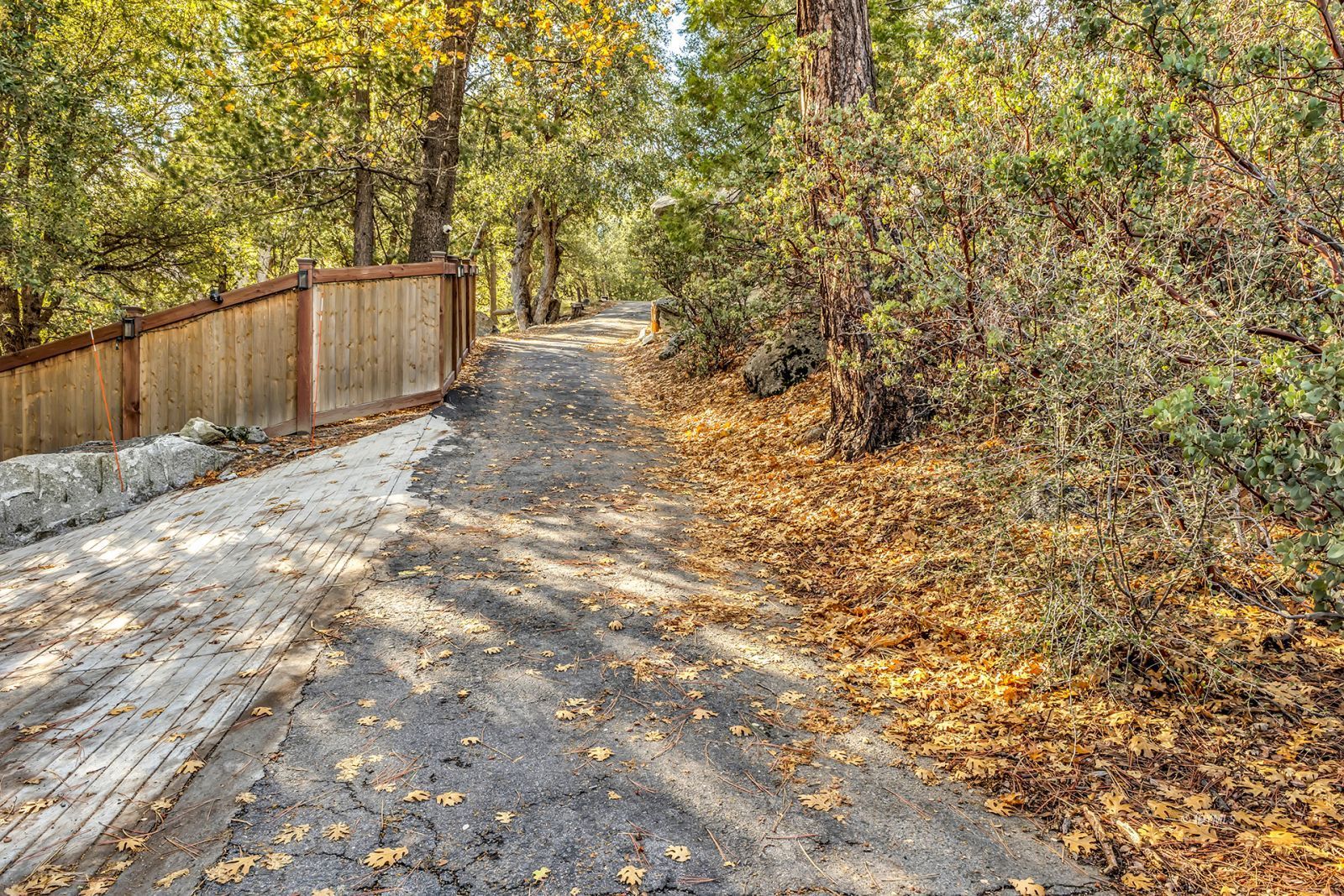 Property Photo 73