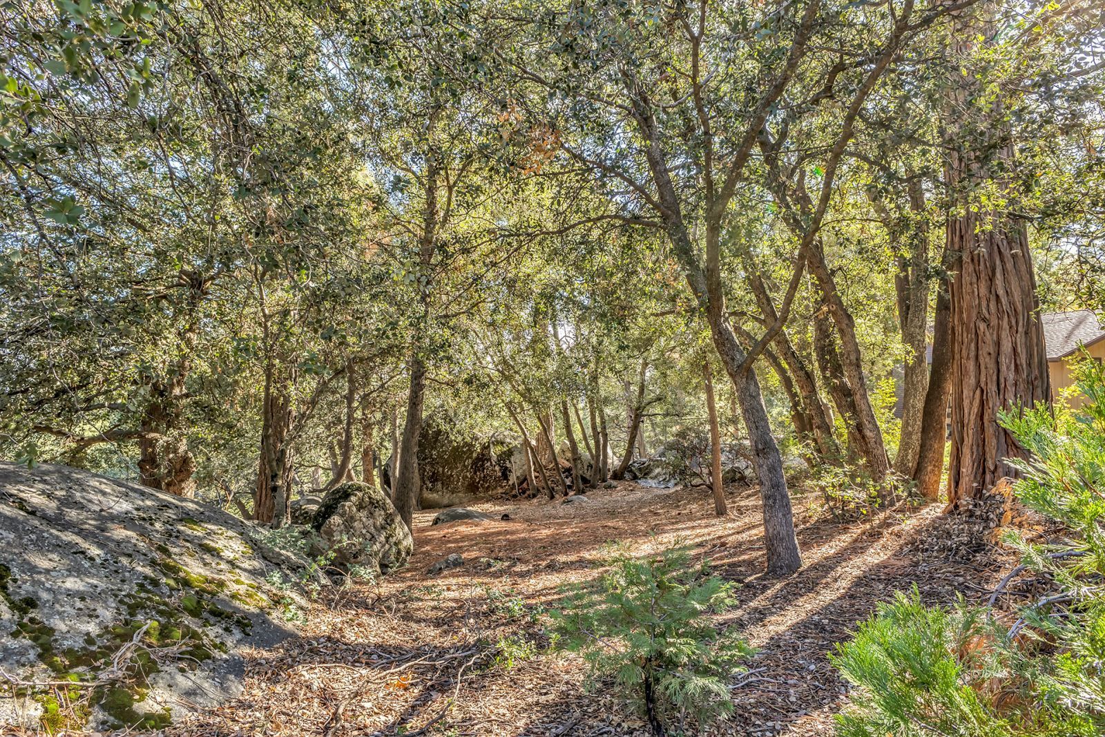 Property Photo 77