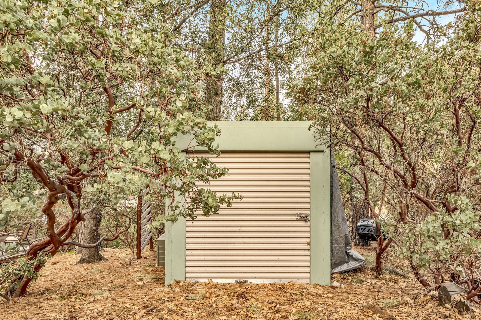 Property Photo 60