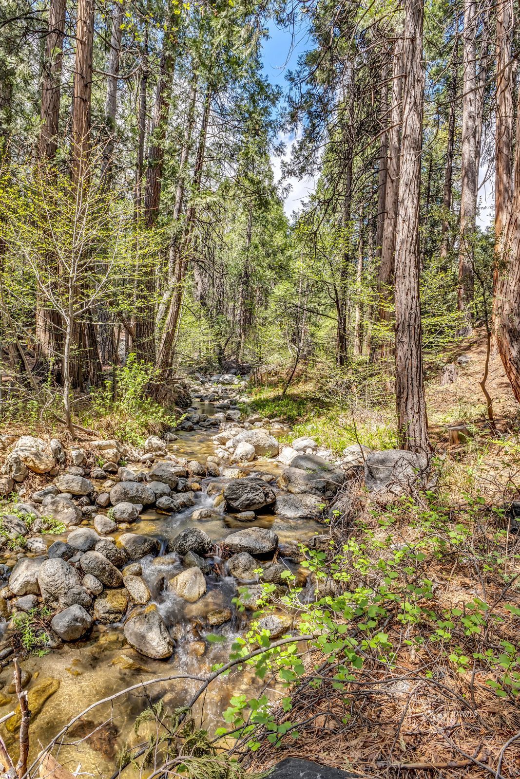 Property Photo 64