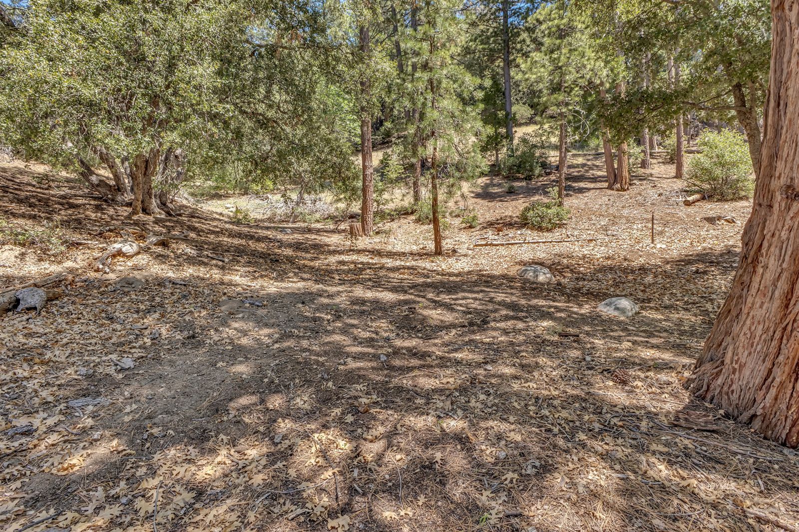Property Photo 69