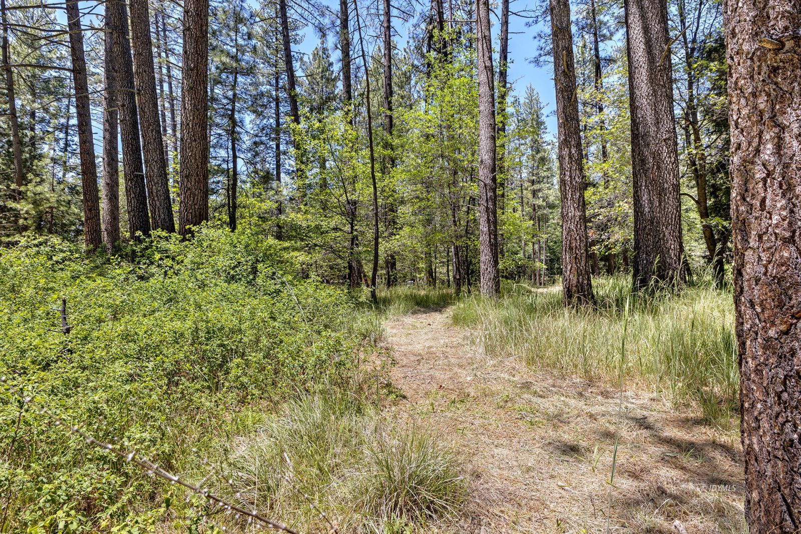 Property Photo 63