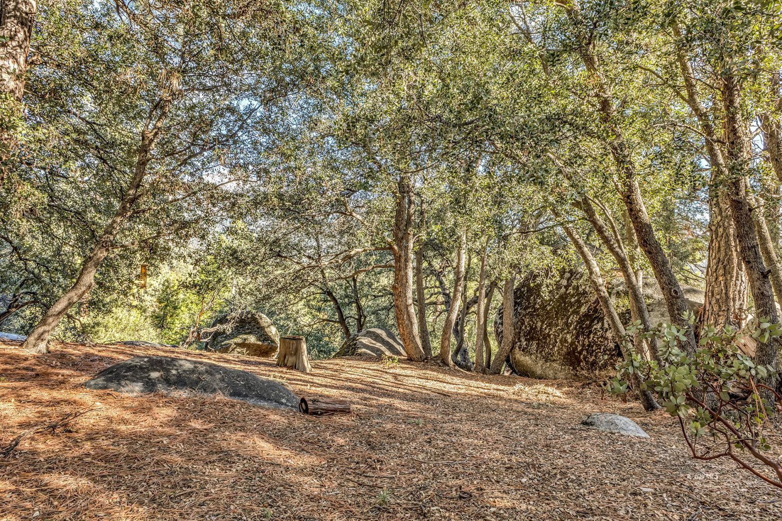 Property Photo 78