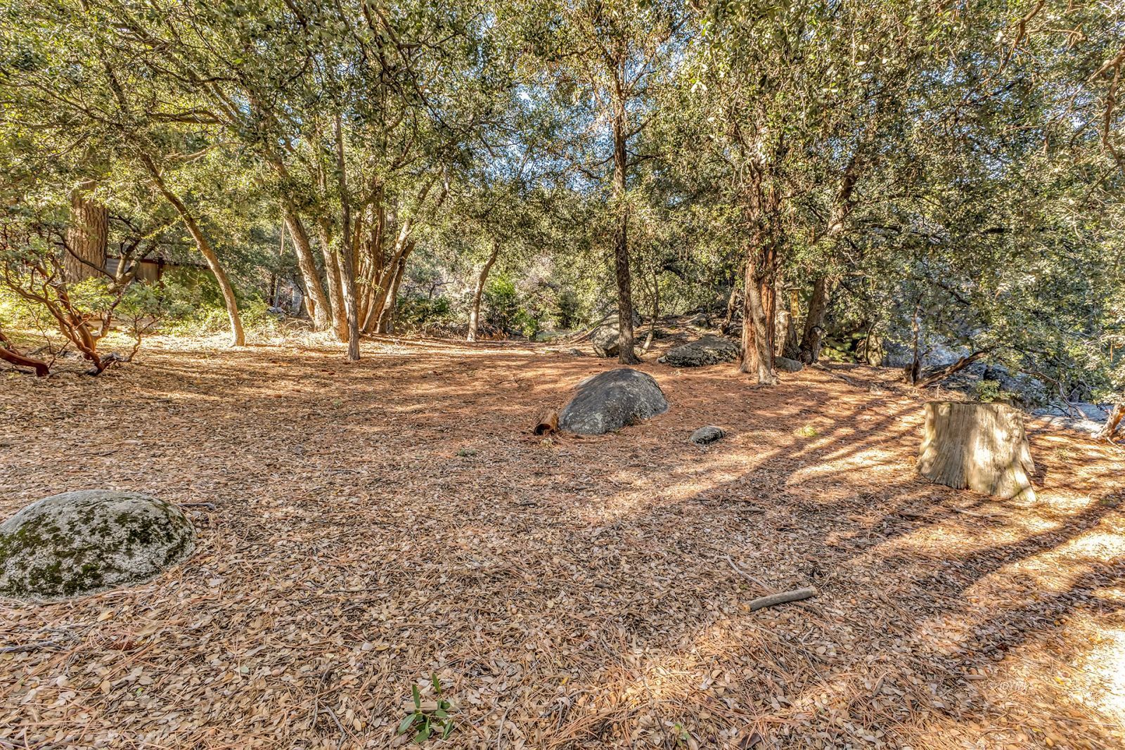 Property Photo 84