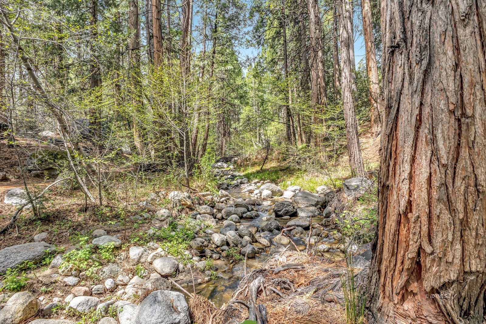 Property Photo 63