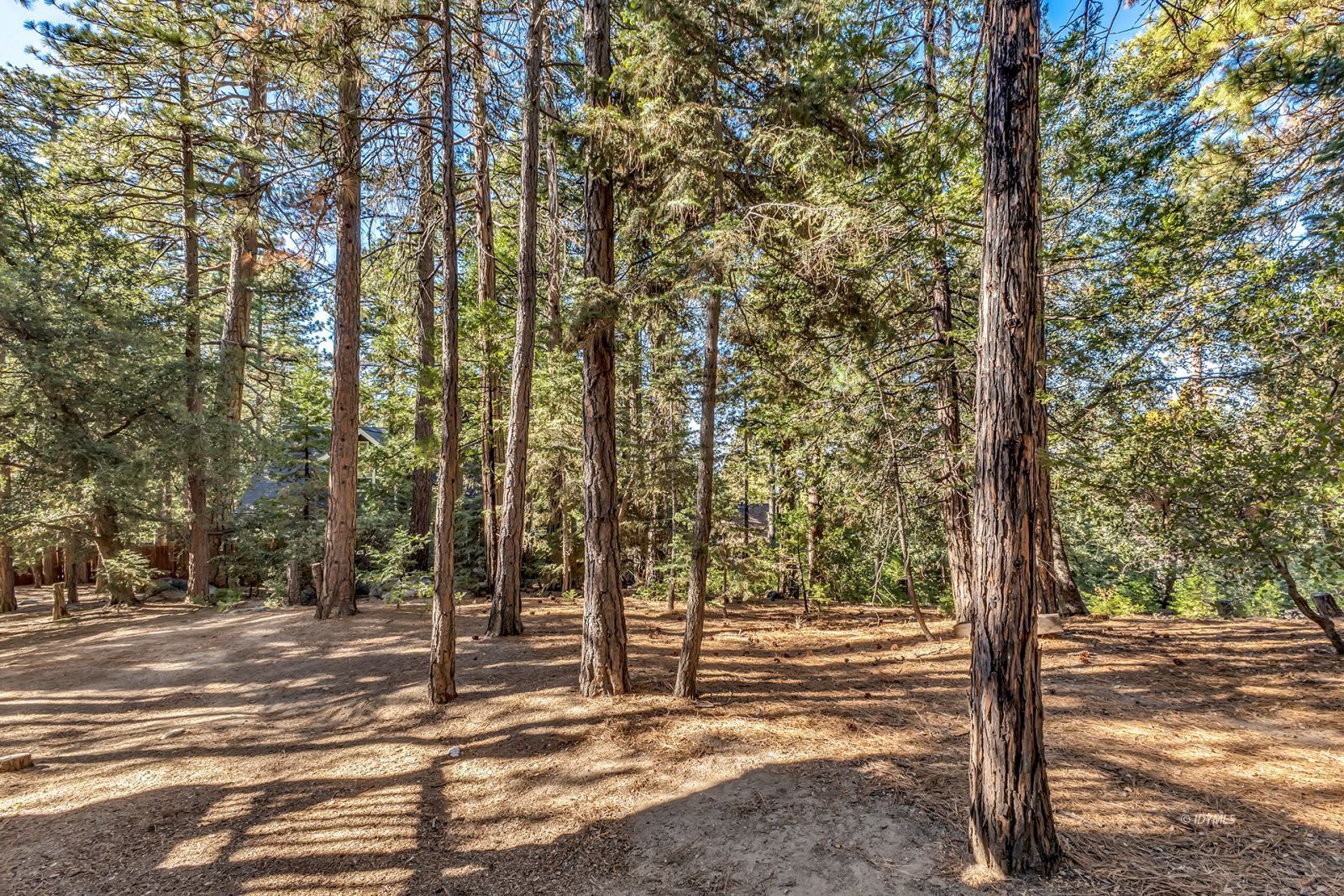 Property Photo 63
