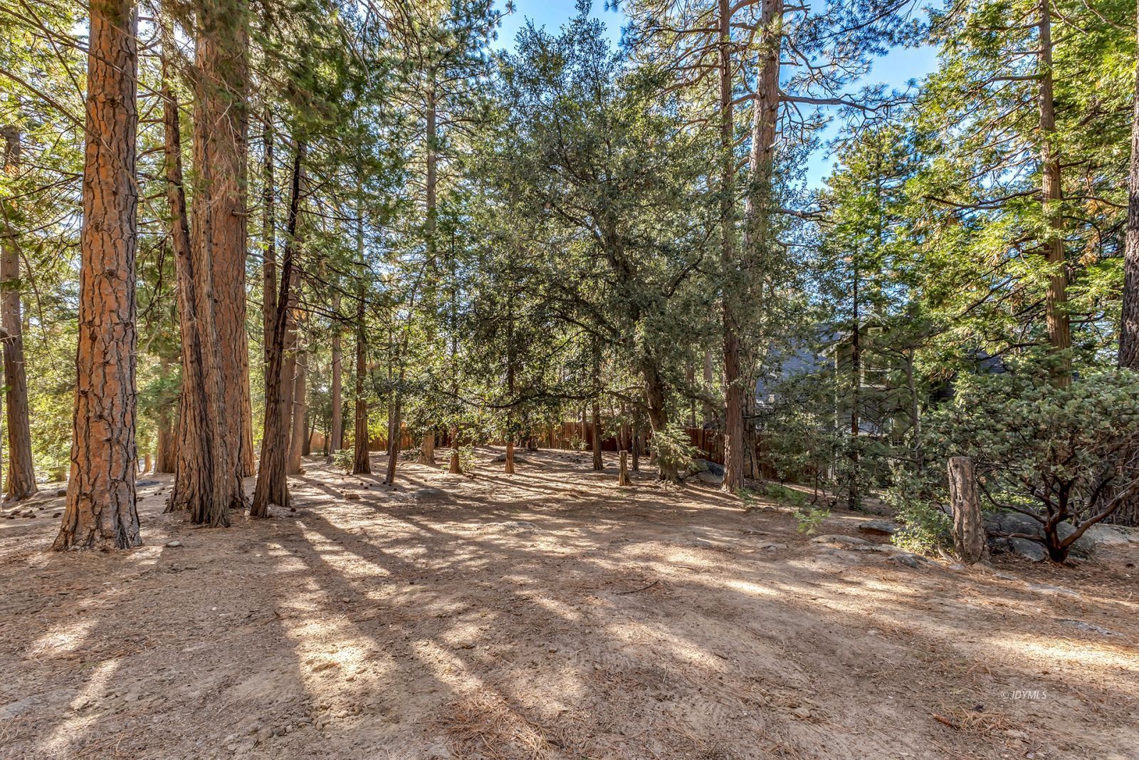 Property Photo 64