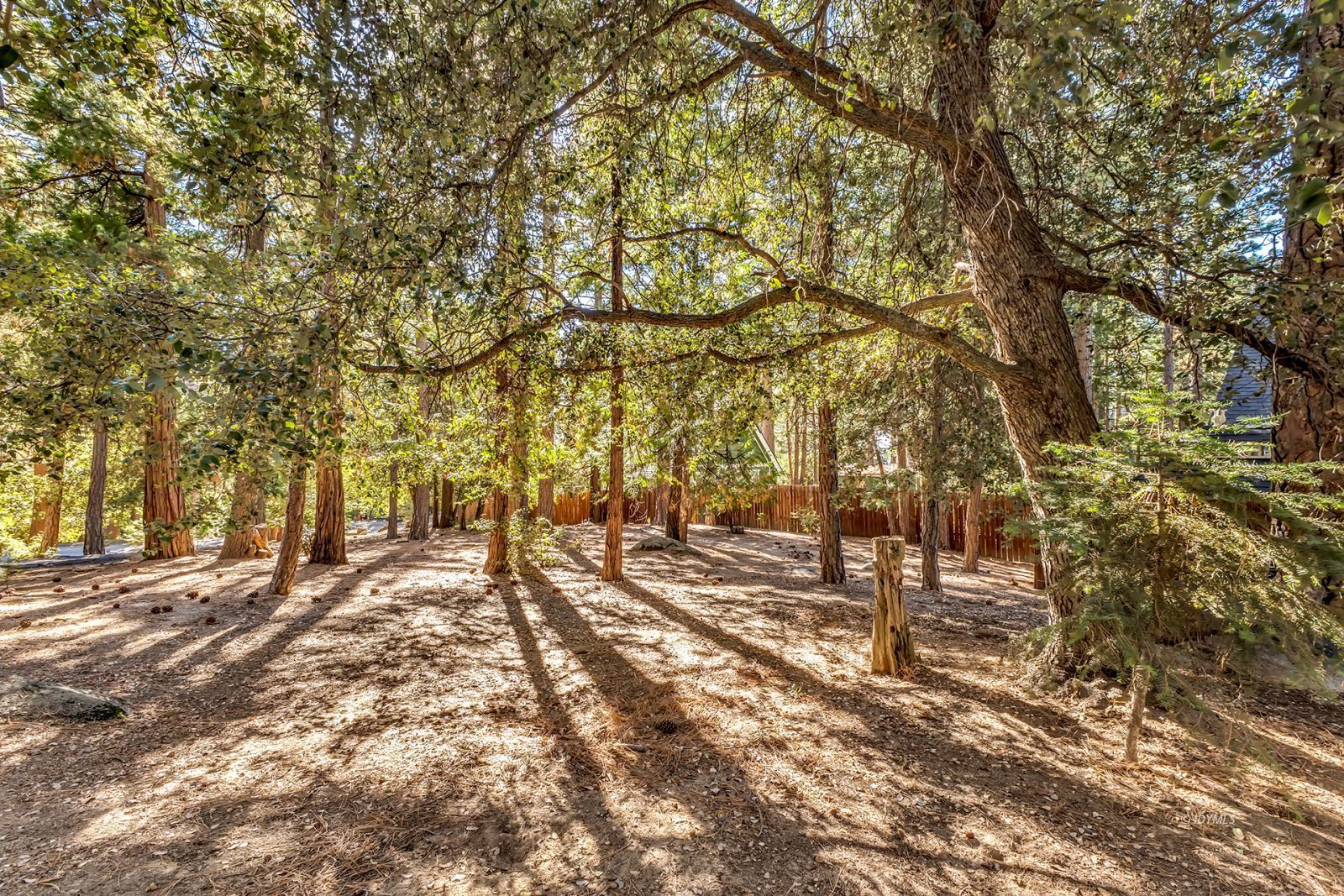 Property Photo 65