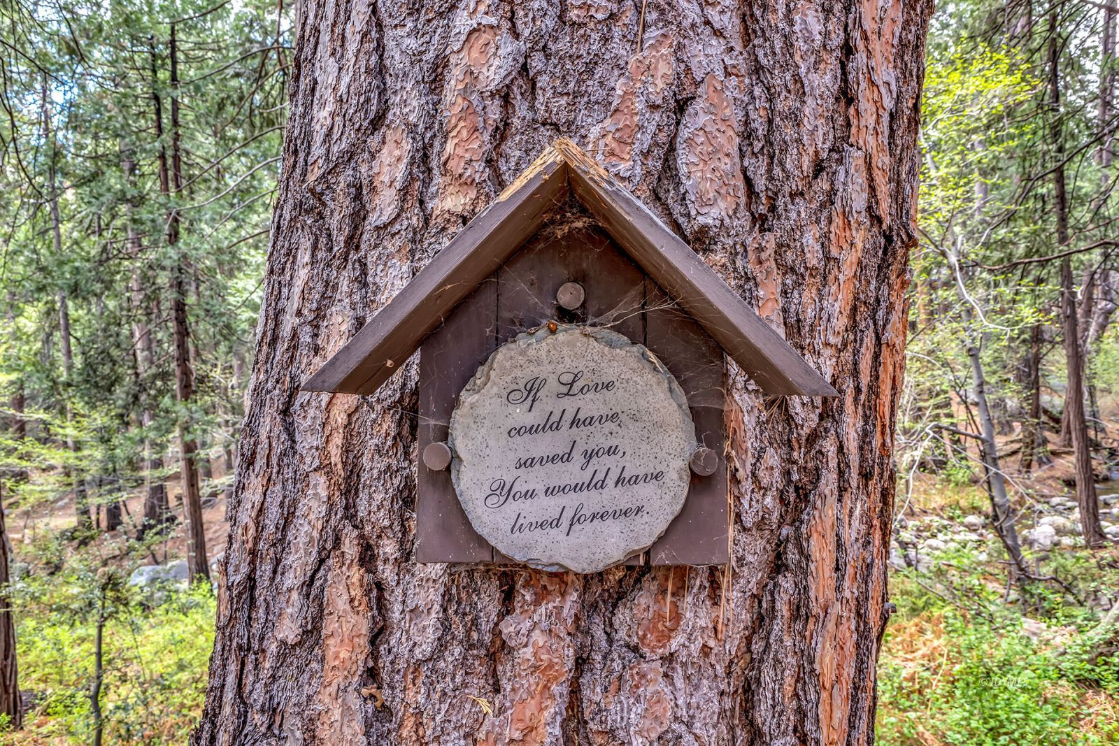 Property Photo 62