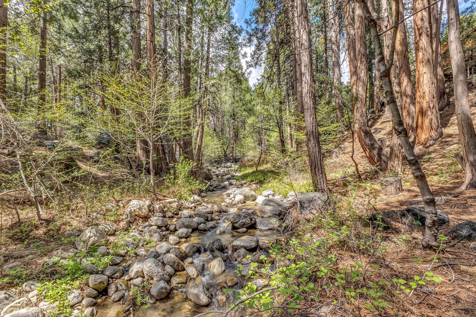 Property Photo 65
