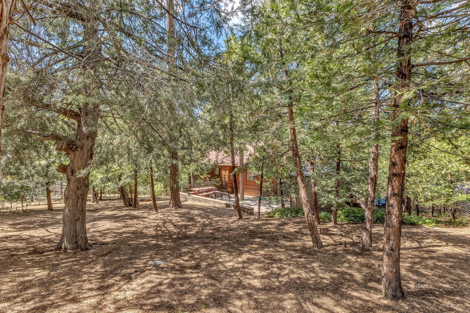 Property Photo 57