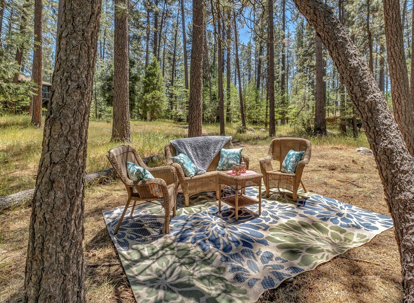 Property Photo 64