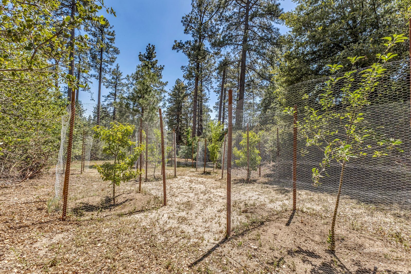 Property Photo 87