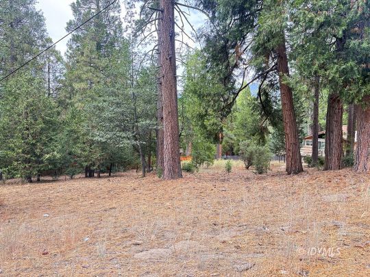 feature listing property photo