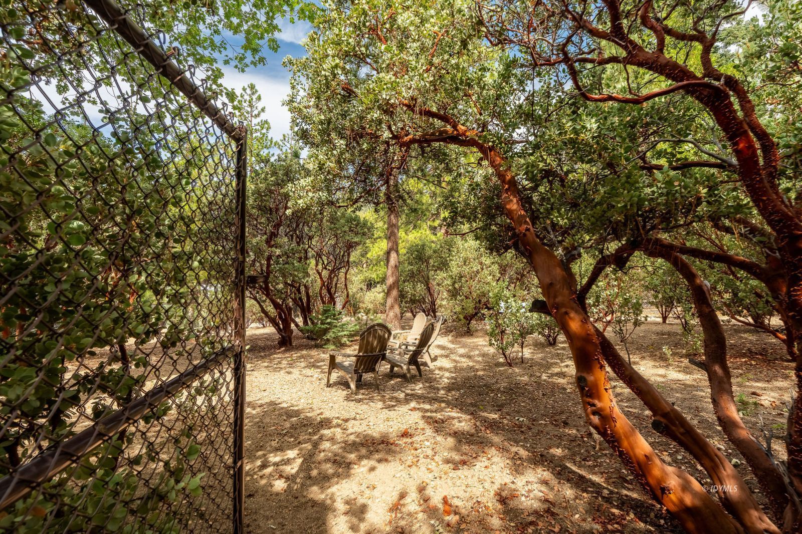 Property Photo 60