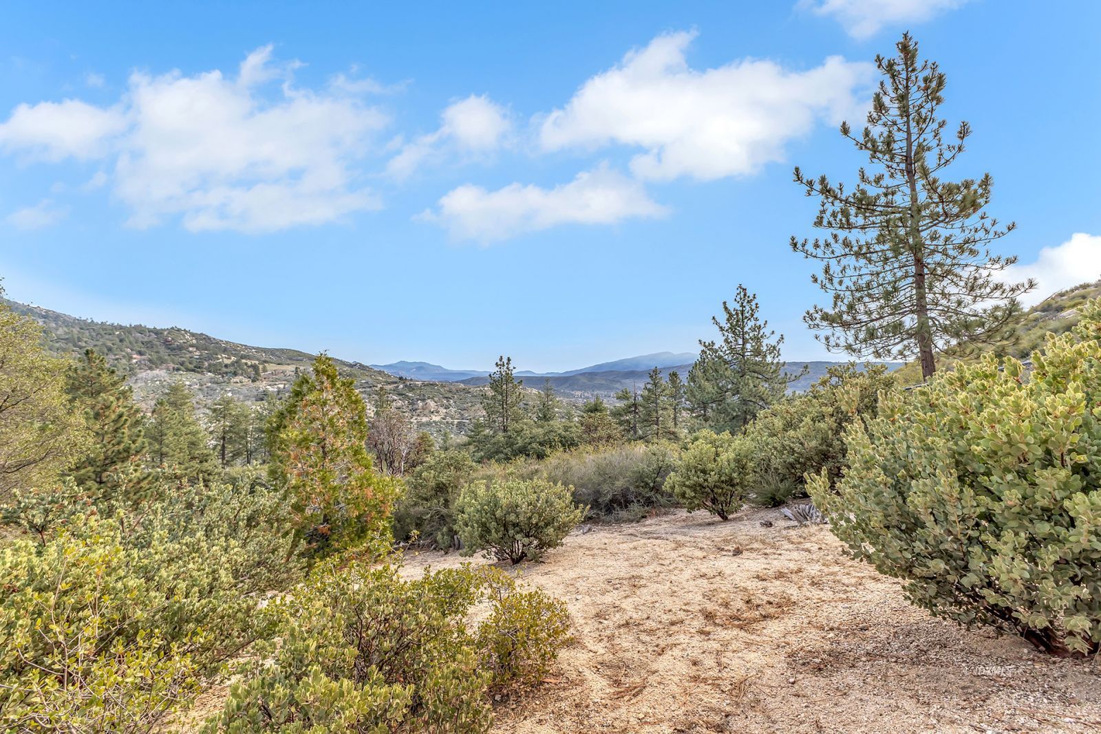 Property Photo 63