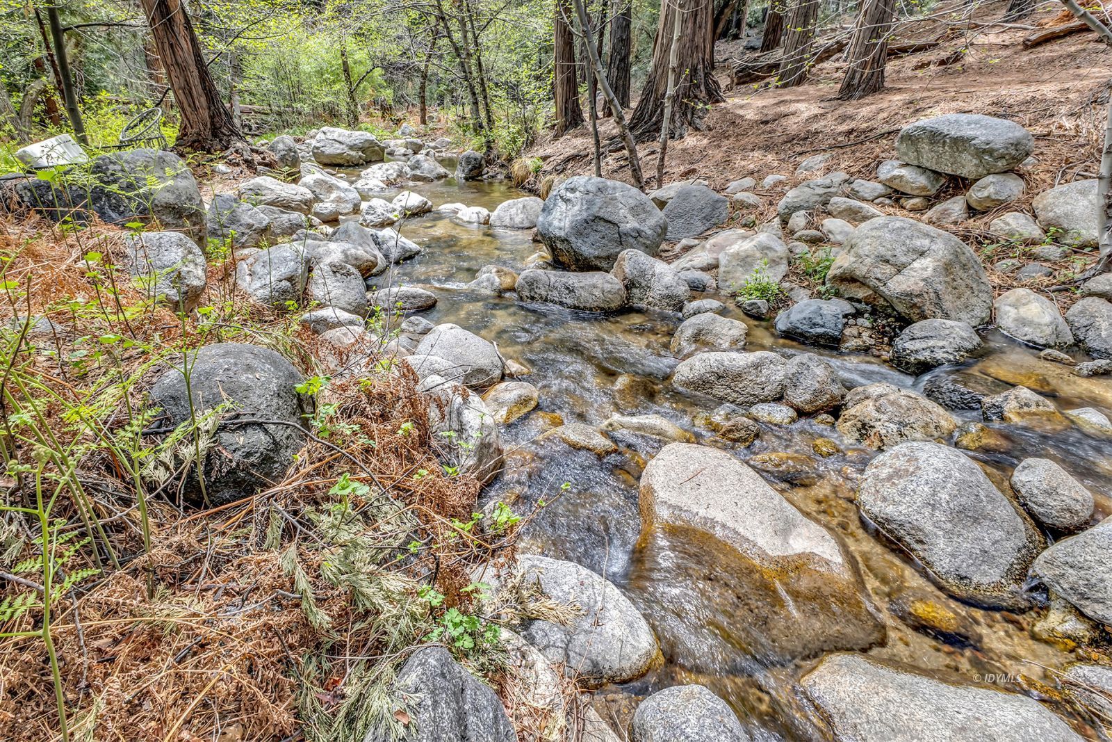 Property Photo 69