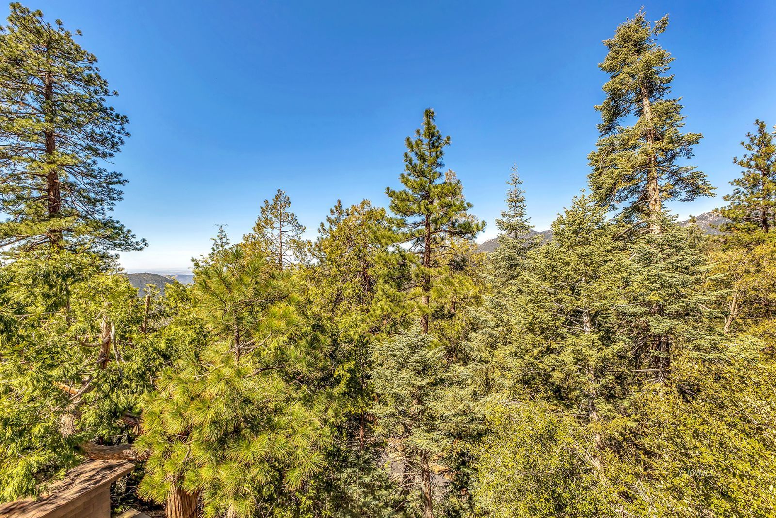 Property Photo 61