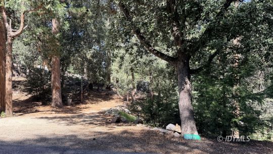 feature listing property photo