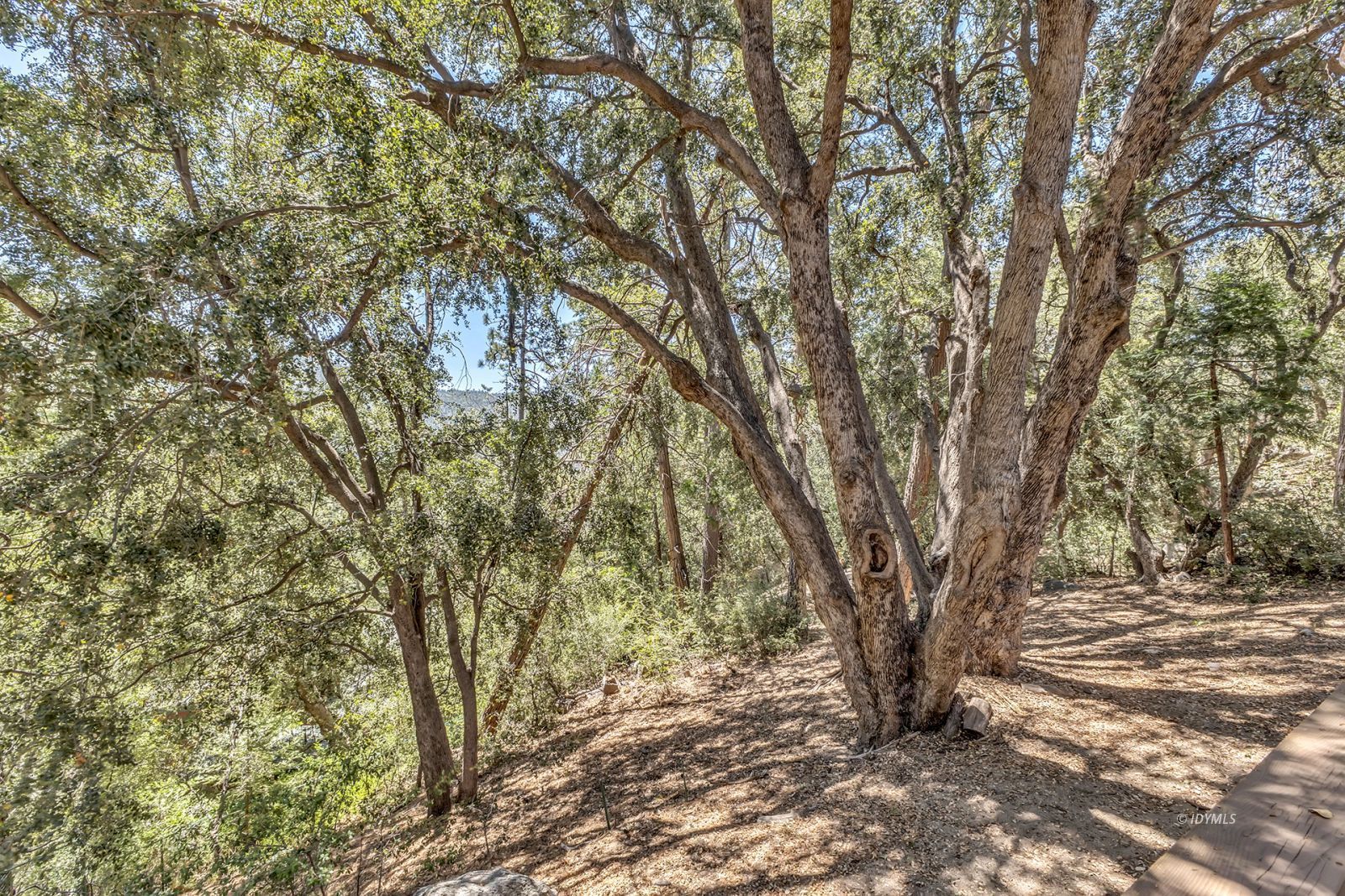 Property Photo 34
