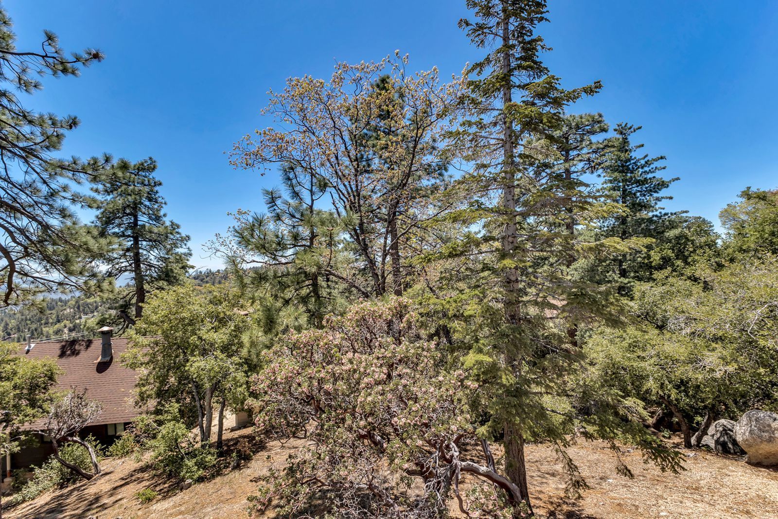 Property Photo 63