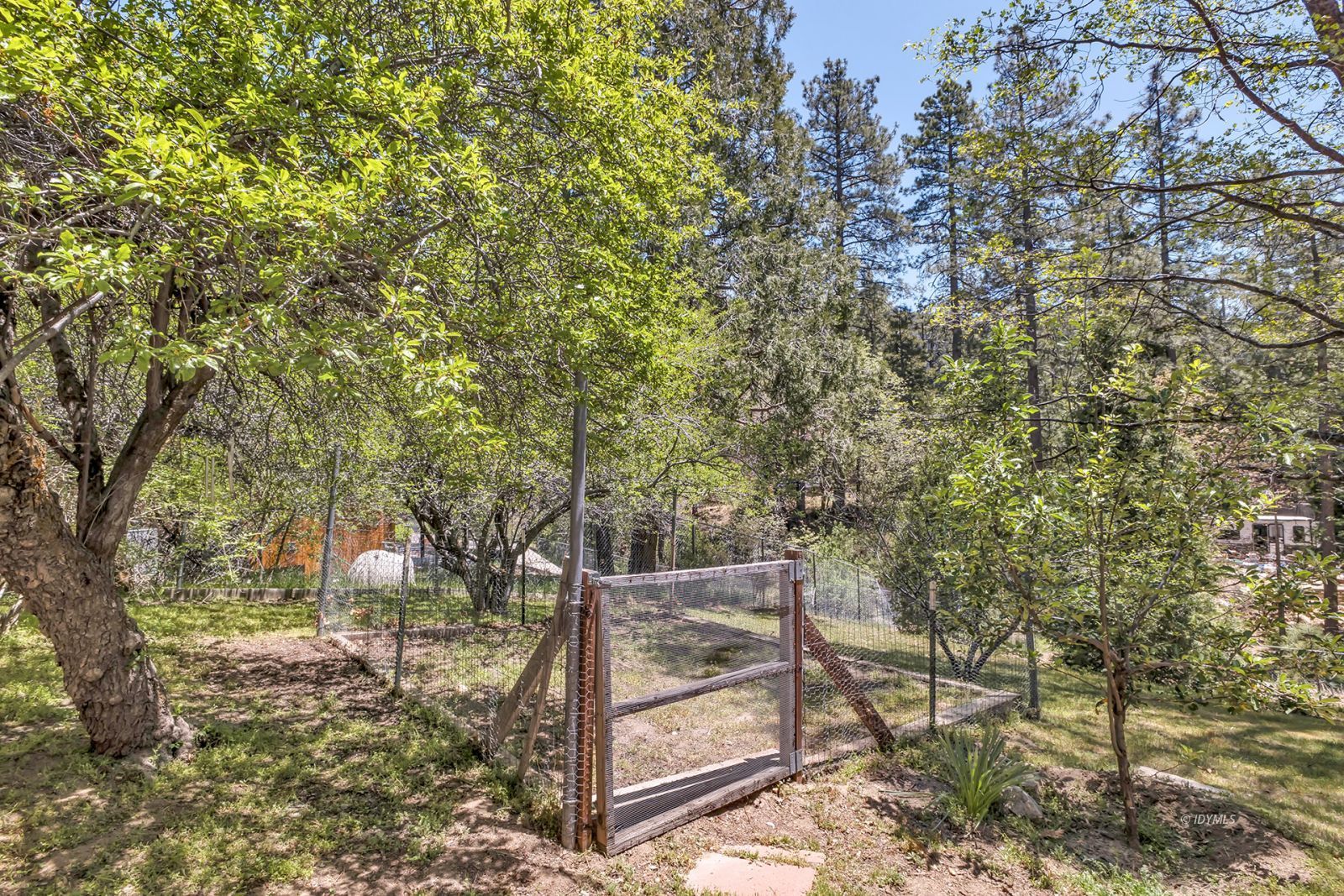 Property Photo 39