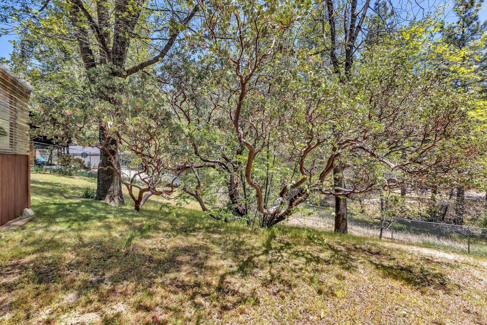 Property Photo 41