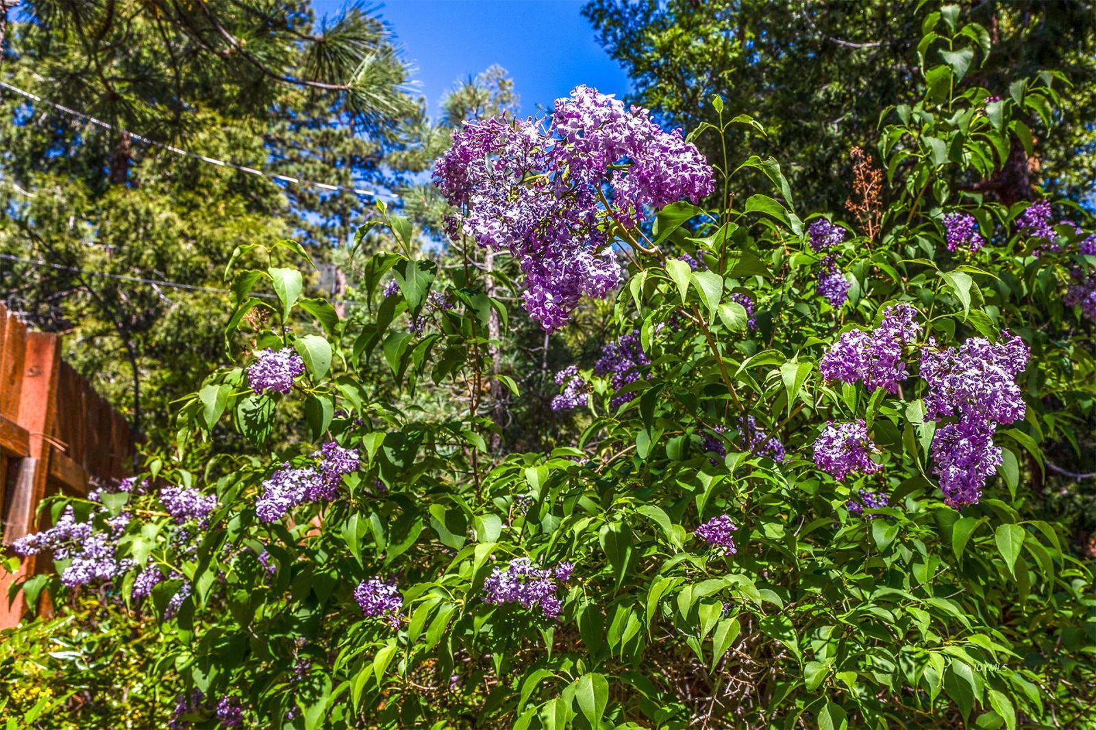 Property Photo 84