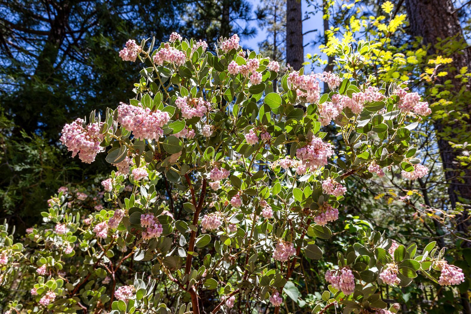 Property Photo 41