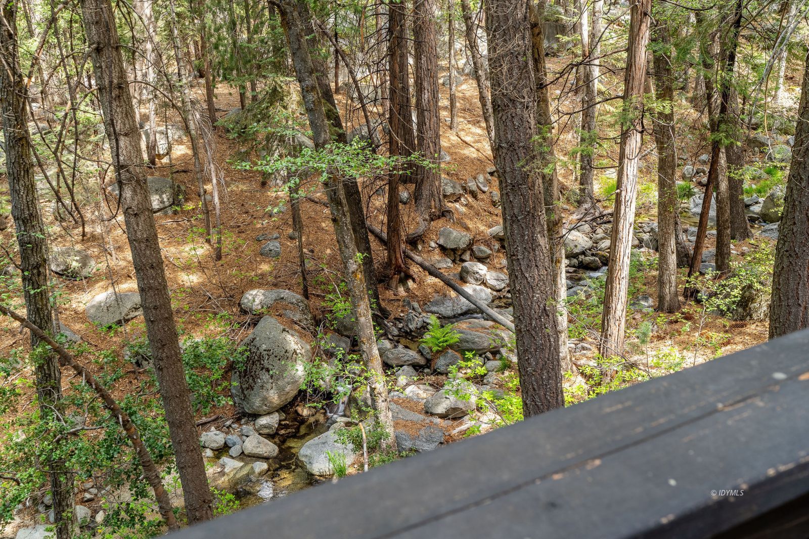Property Photo 43