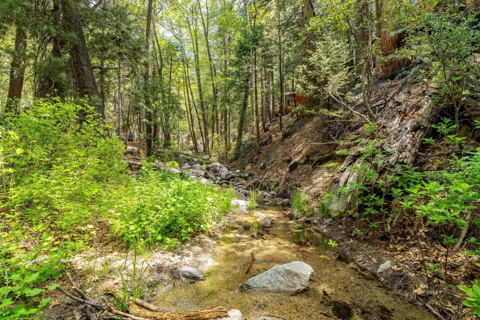 Property Photo 45