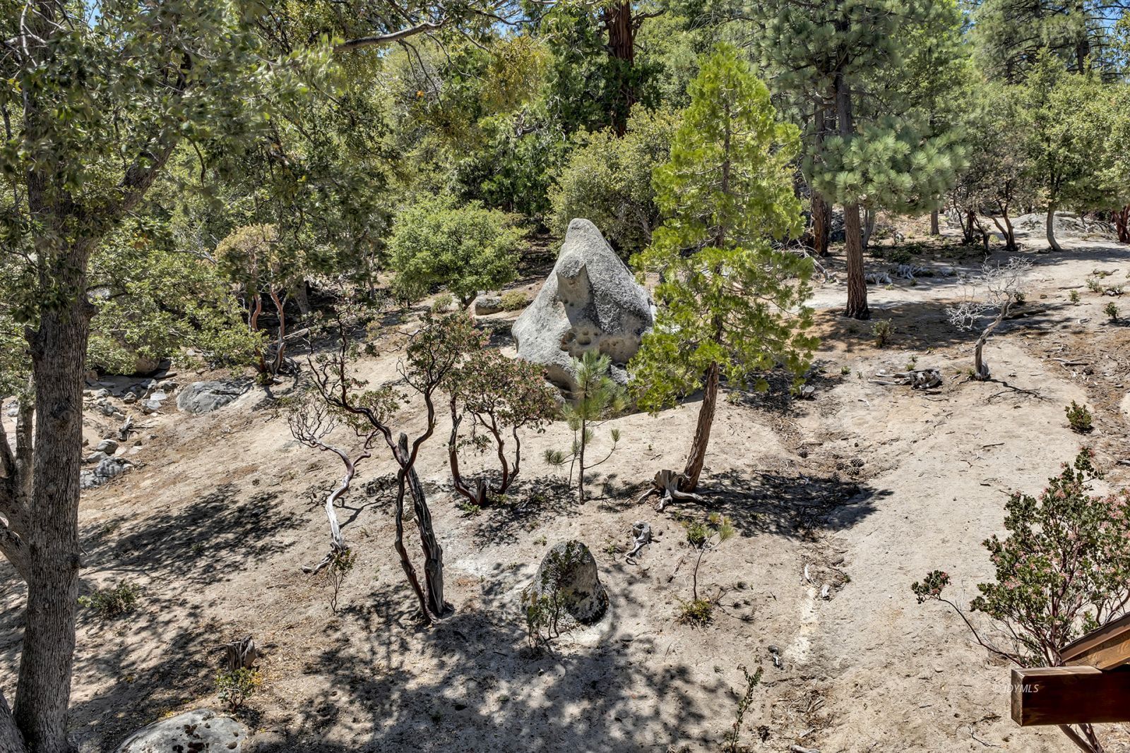 Property Photo 61