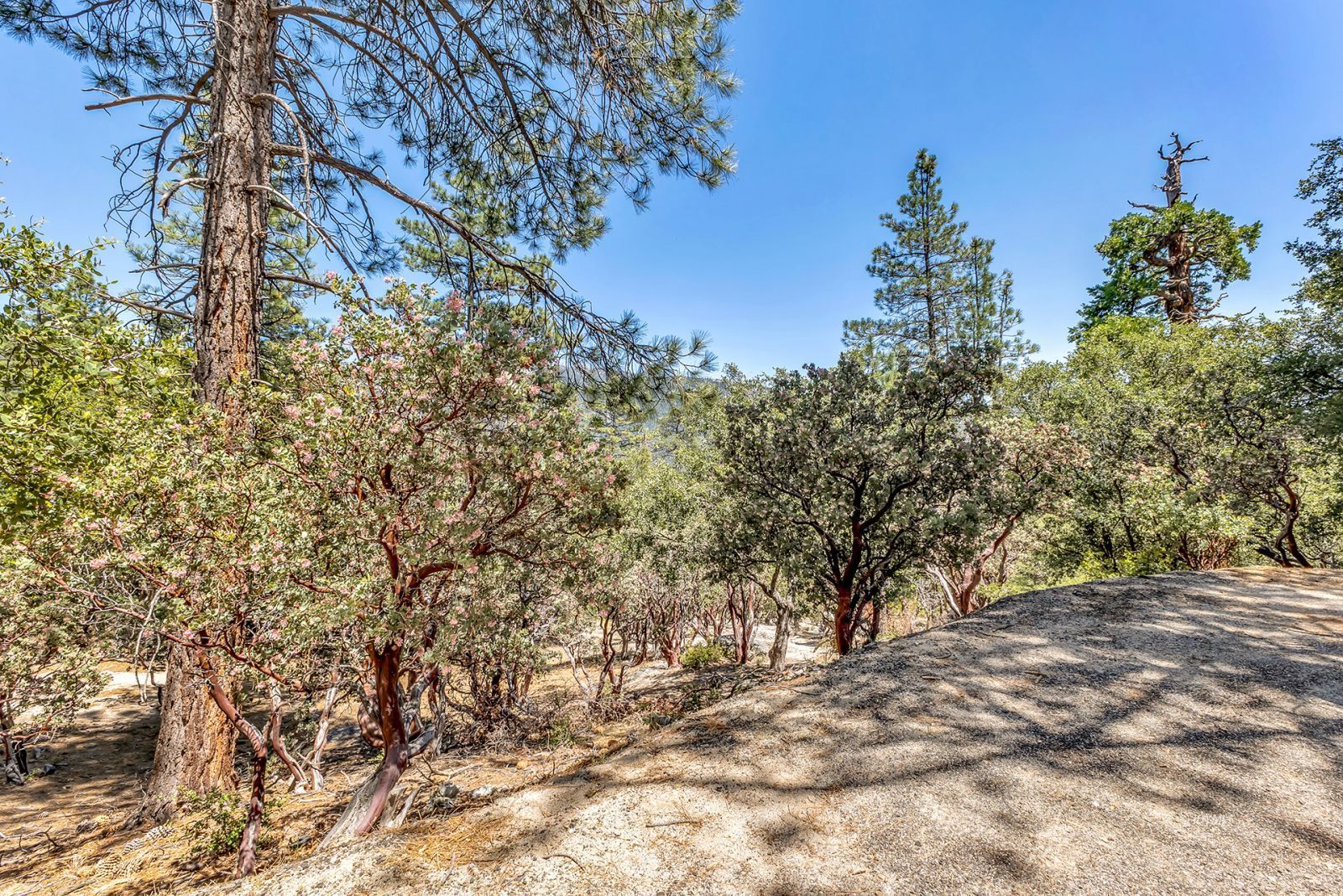 Property Photo 74