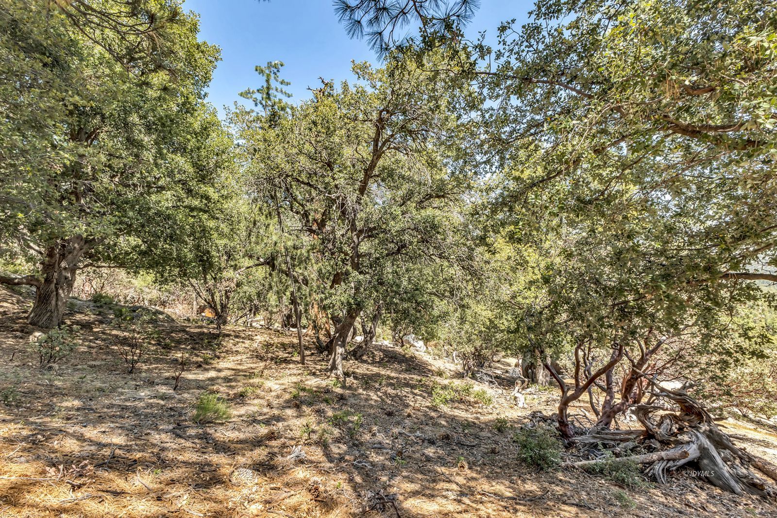 Property Photo 76
